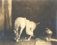  Sacred Horse (order), No. 439